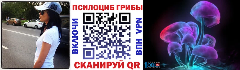 Галлюциногенные грибы Psilocybe  Котово 